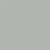 Silex brillant Silex brillant